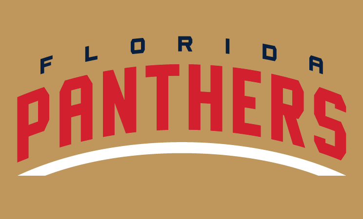 Florida Panthers 2016 17-Pres Wordmark Logo 04 iron on paper